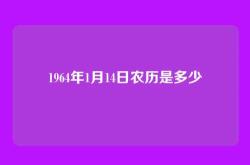 1964年1月14日农历是多少