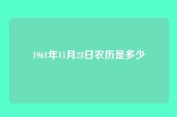 1961年11月28日农历是多少