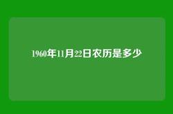 1960年11月22日农历是多少