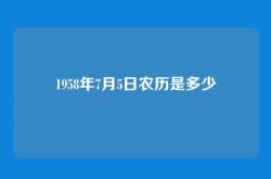 1958年7月5日农历是多少