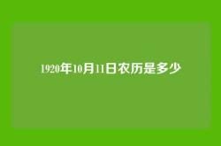 1920年10月11日农历是多少