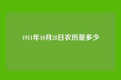 1911年10月28日农历是多少