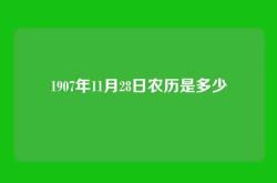 1907年11月28日农历是多少