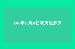 1905年11月30日农历是多少