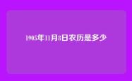 1905年11月8日农历是多少