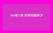 1905年11月7日农历是多少
