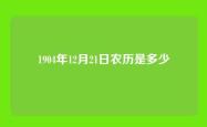 1904年12月21日农历是多少