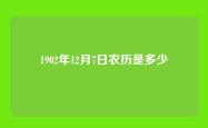 1902年12月7日农历是多少