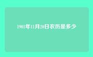 1901年11月20日农历是多少