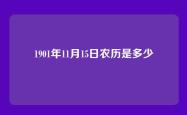 1901年11月15日农历是多少