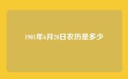 1901年6月20日农历是多少