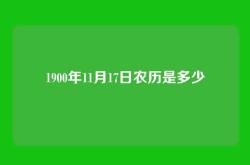 1900年11月17日农历是多少