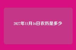 2027年11月16日农历是多少