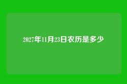 2027年11月23日农历是多少