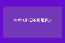 2028年1月9日农历是多少