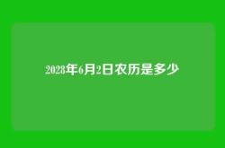 2028年6月2日农历是多少