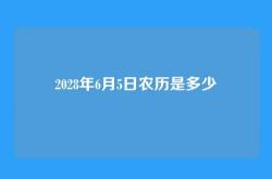 2028年6月5日农历是多少