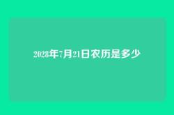 2028年7月21日农历是多少