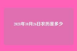 2028年10月26日农历是多少