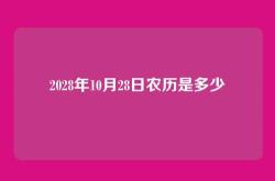 2028年10月28日农历是多少