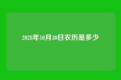 2028年10月30日农历是多少