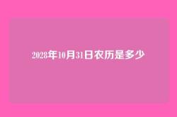 2028年10月31日农历是多少