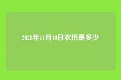 2028年11月10日农历是多少