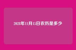 2028年11月15日农历是多少