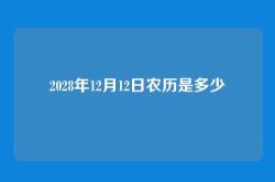 2028年12月12日农历是多少