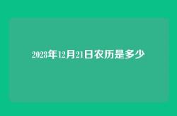 2028年12月21日农历是多少