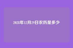 2028年12月29日农历是多少