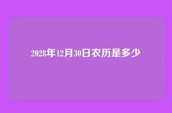 2028年12月30日农历是多少