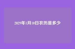 2029年1月10日农历是多少