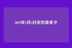 2029年2月4日农历是多少