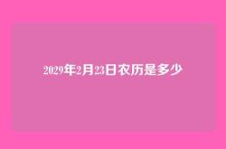 2029年2月23日农历是多少