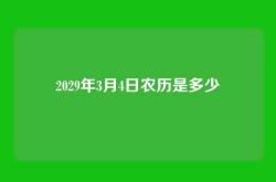 2029年3月4日农历是多少