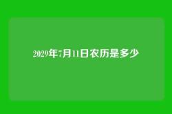 2029年7月11日农历是多少