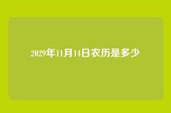 2029年11月14日农历是多少