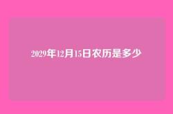 2029年12月15日农历是多少