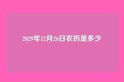 2029年12月26日农历是多少