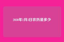 2030年1月3日农历是多少