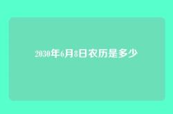 2030年6月8日农历是多少