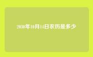2030年10月14日农历是多少