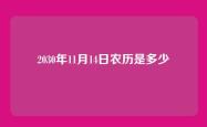 2030年11月14日农历是多少