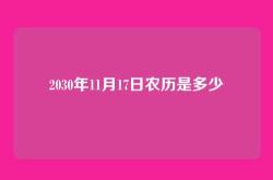 2030年11月17日农历是多少