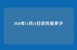 2030年11月21日农历是多少