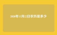 2030年11月22日农历是多少