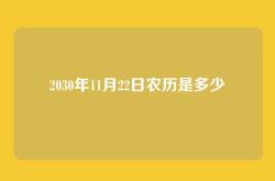 2030年11月22日农历是多少
