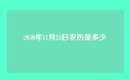 2030年11月23日农历是多少