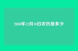 2030年12月10日农历是多少